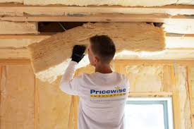 Best Insulation Removal  in Mamou, LA